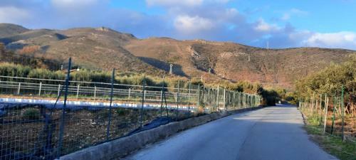Bed & Breakfast La Gallina Nel Castello