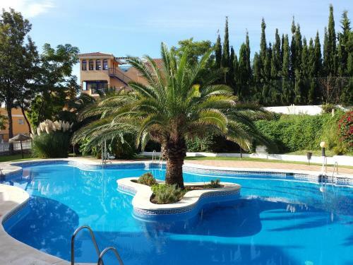 Apartamento Albatros Beach Club