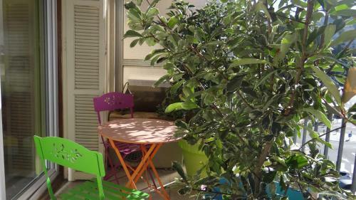 Chambre Ajaccio