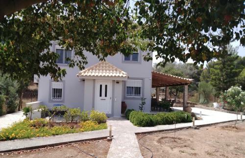 Apartamento Studio Katafigi