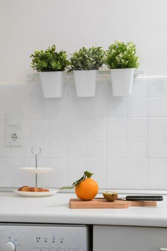 Green Avenue Apartment Zagreb