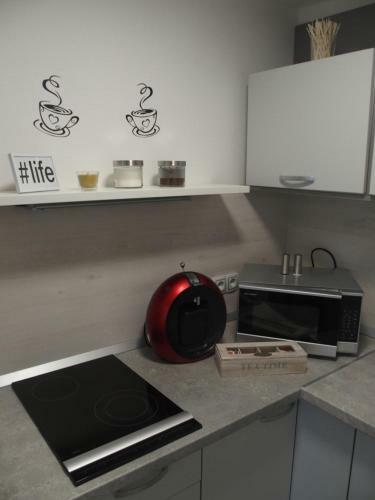 Apartment Elize