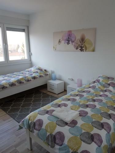 Apartment Alex Miramare