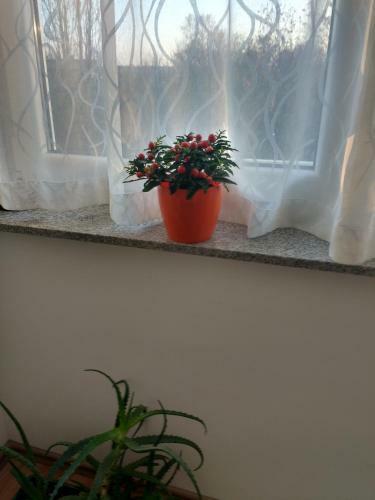 Apartamento Meridian