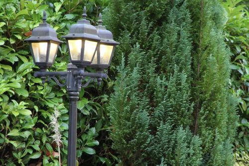 Castle Green B&B