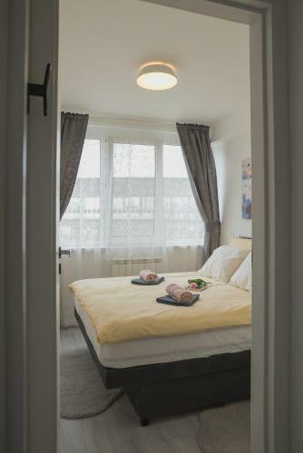 Drop (in) Apartment