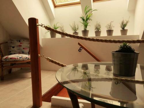 Apartamento Center 23 - Old Town