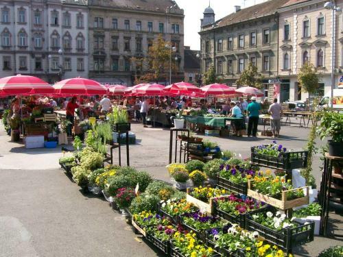 Apartman Zelengaj