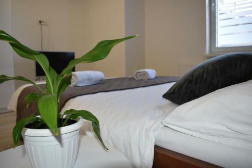 Apartamento Room & 4 Studios - Modern Comfy Central - Free Netflix