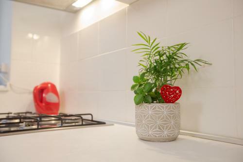 Apartman Manja