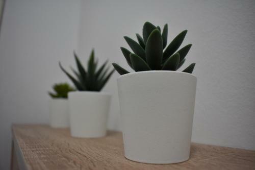 Apartman Boni