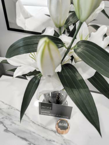 Mint Boutique Studio Apartments II