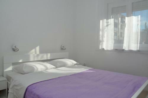 Apartments Edita