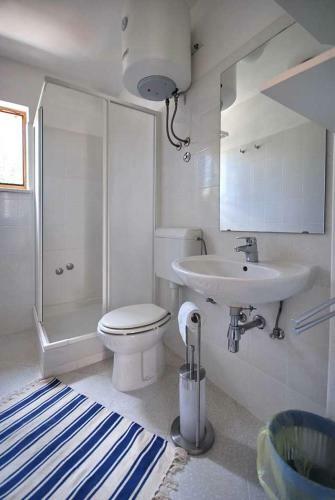 Apartments Miodrag