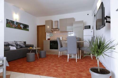 Studio Apartment Visnjik