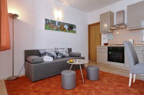 Studio Apartment Visnjik