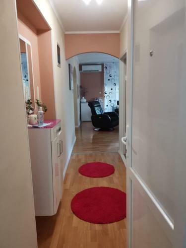 Apartman Lu?ica