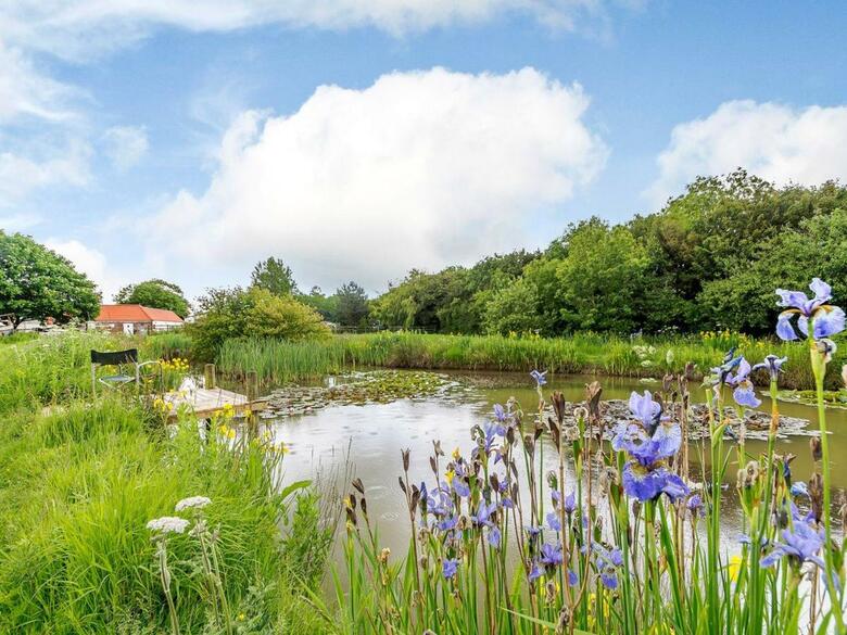 Cottage In The Pond