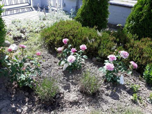 Apartamento Ferienwohnung Ott