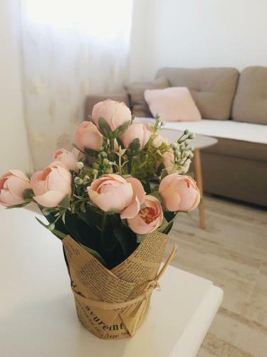 Apartment Jovana