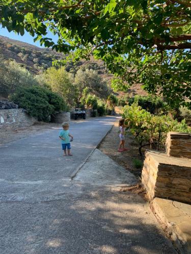 Villa Andros Eco Lodge