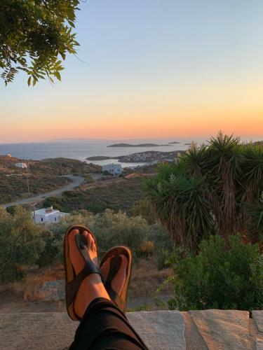 Villa Andros Eco Lodge
