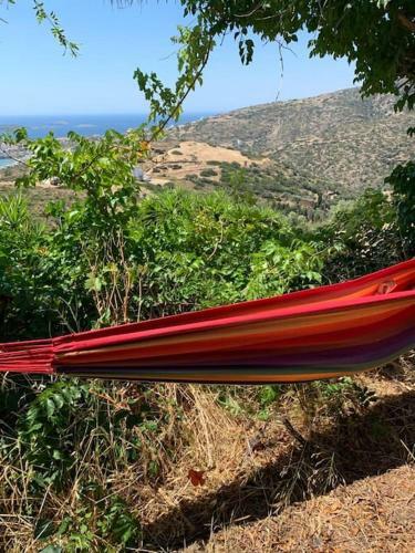 Villa Andros Eco Lodge