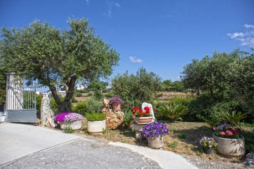 B&B Il Brigante