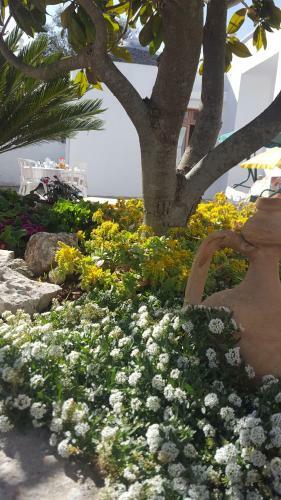 Trullo Amicizia