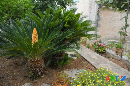 Trullo Al Vicoletto