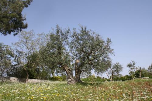 Apartamento L'eremo