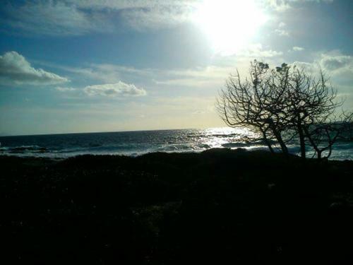 Sunsenses Villa