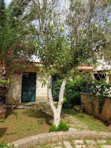Bed & Breakfast Masseria Isola Verde