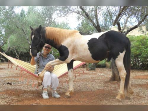 Bed & Breakfast Masseria Isola Verde