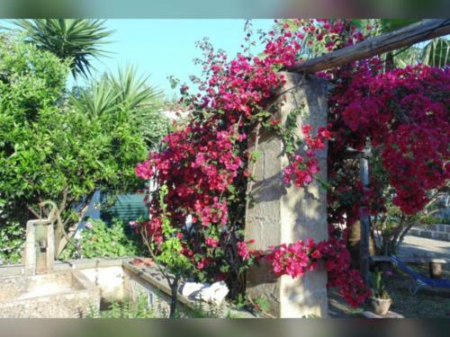 Bed & Breakfast Masseria Isola Verde