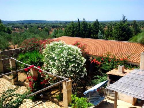 Bed & Breakfast Masseria Isola Verde