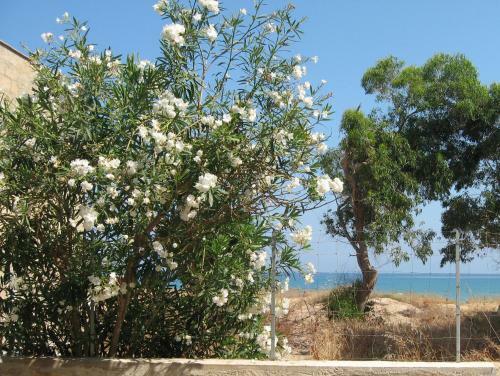 Apartamento Elios