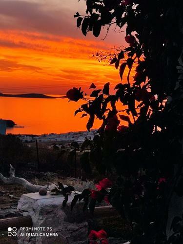 Zephyrus Sunset House. Amazing View And Privacy!