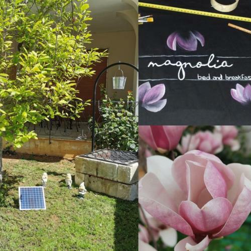 Bed & Breakfast Magnolia