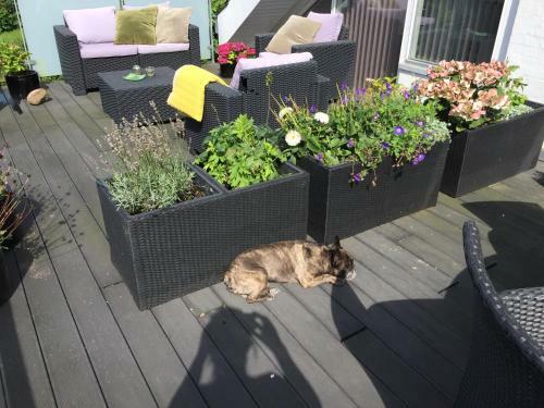 Br�ndums Bed & Breakfast