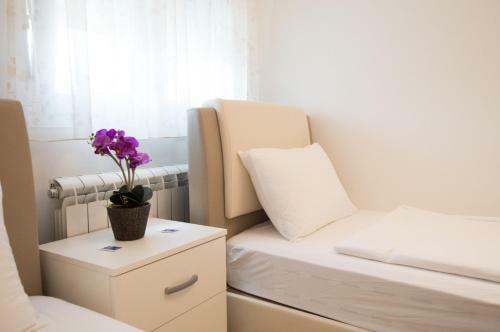 Apartamentos Loft