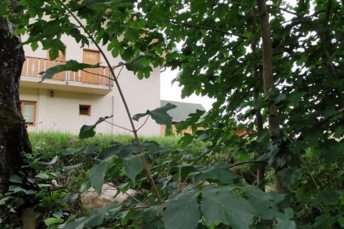 Apartmani Vuk 2