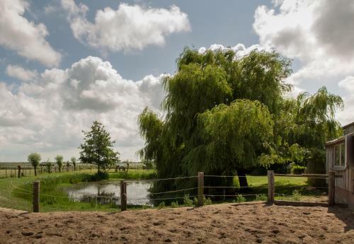 Minicamping Aan de Waterspiegel