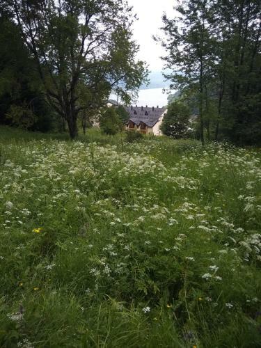 Apartamento Mavrovo Forest