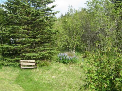 �lfarsfellsvegur 20, Rvk