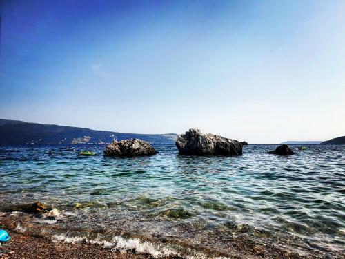 Apartment Center Herceg Novi