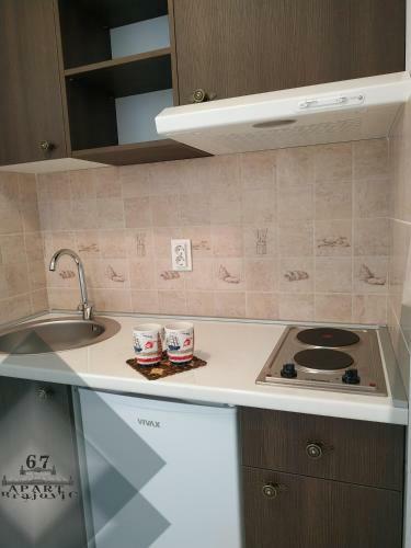 Apartbrajovic67