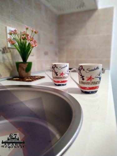 Apartbrajovic67