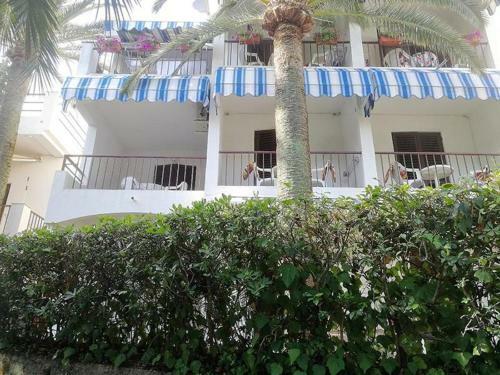 Apartmani I Sobe "goca" Herceg Novi