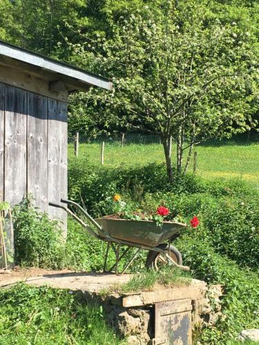 Agroturismo Ferme Familiale Chez Lili